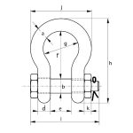 Trbušasti škopci s maticom
