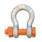 Trbušasti škopci s maticom